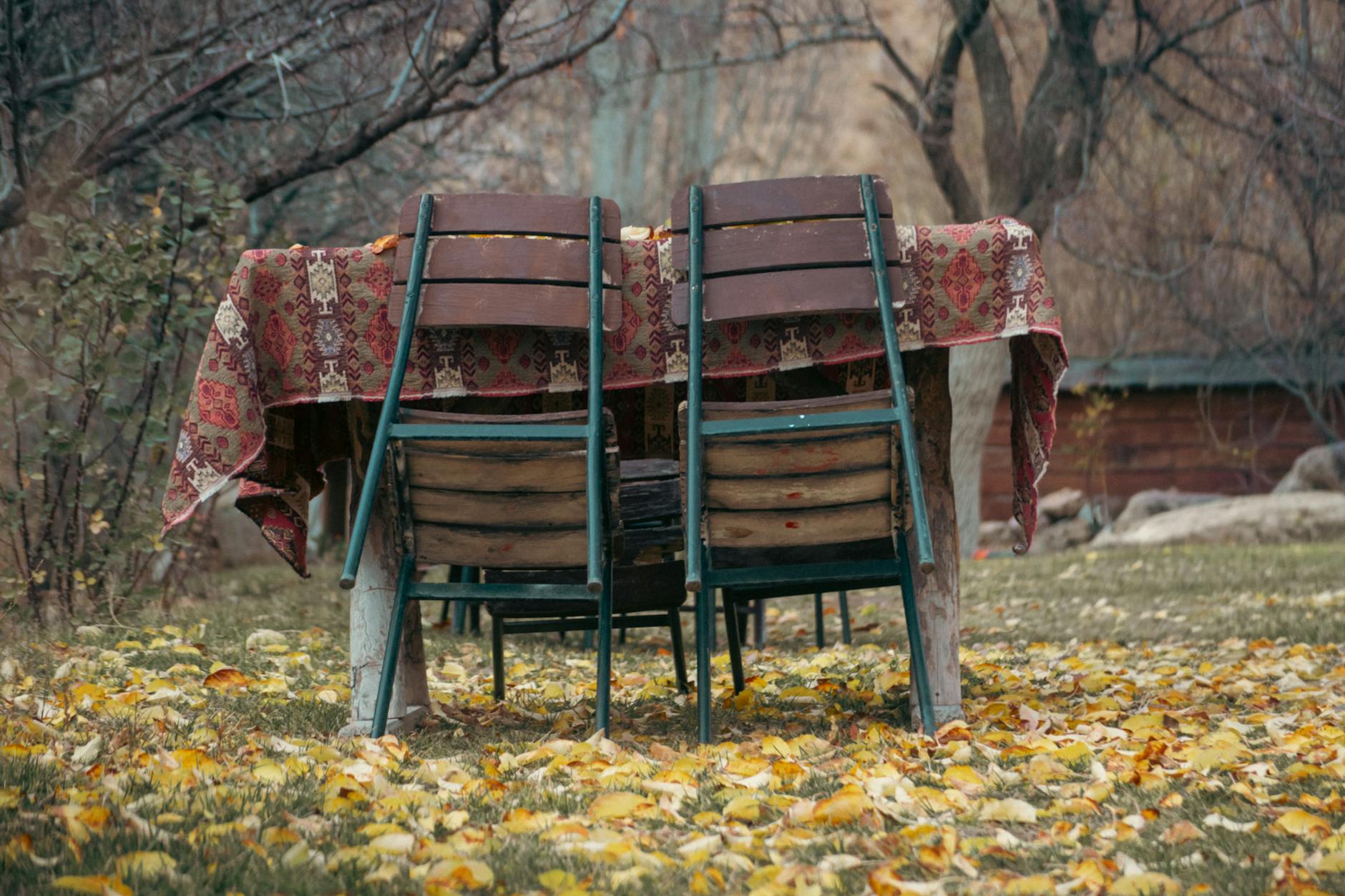 Garden dining table and chairs set up on a patio for outdoor entertaining