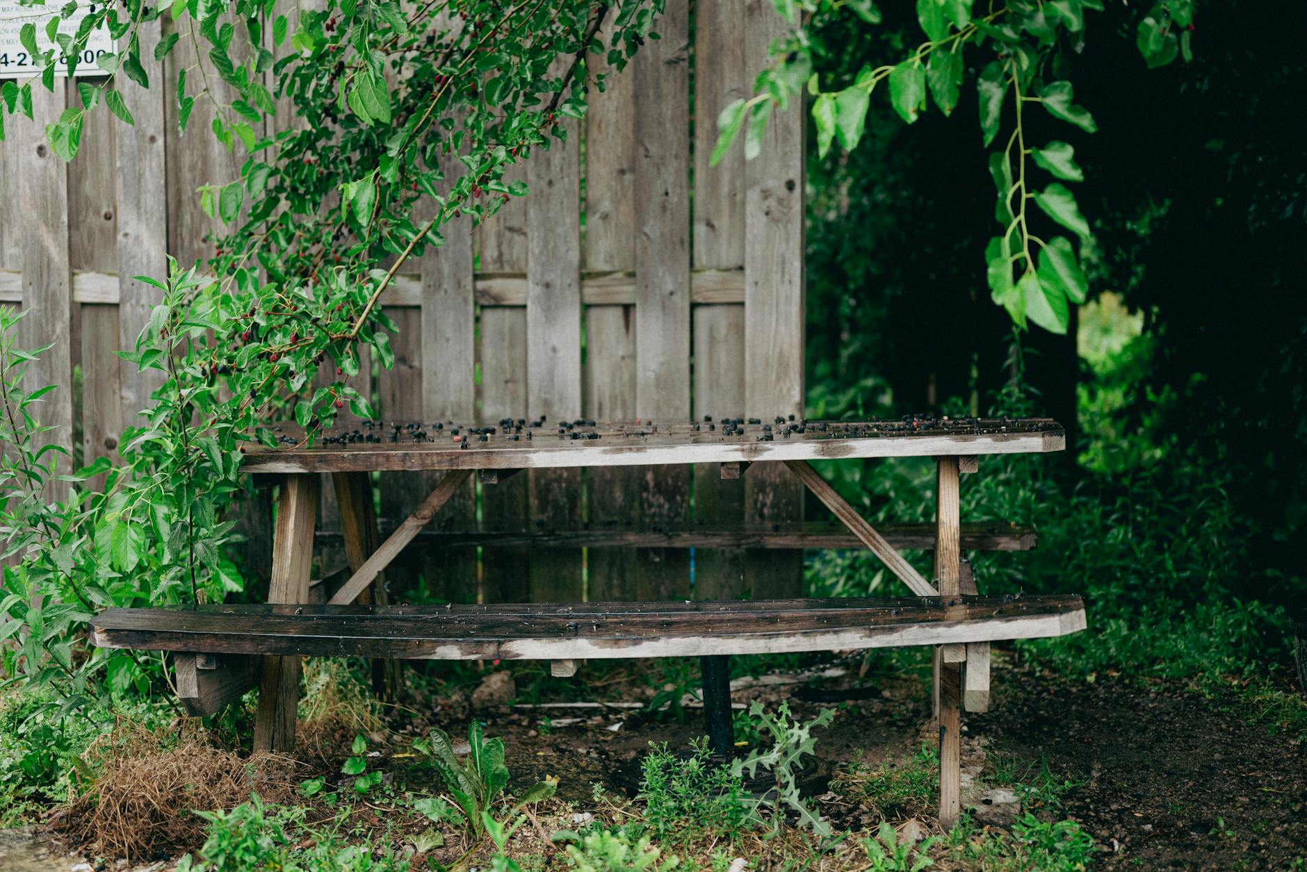 Weathered wooden garden bench with algae and dirt buildup needing cleaning