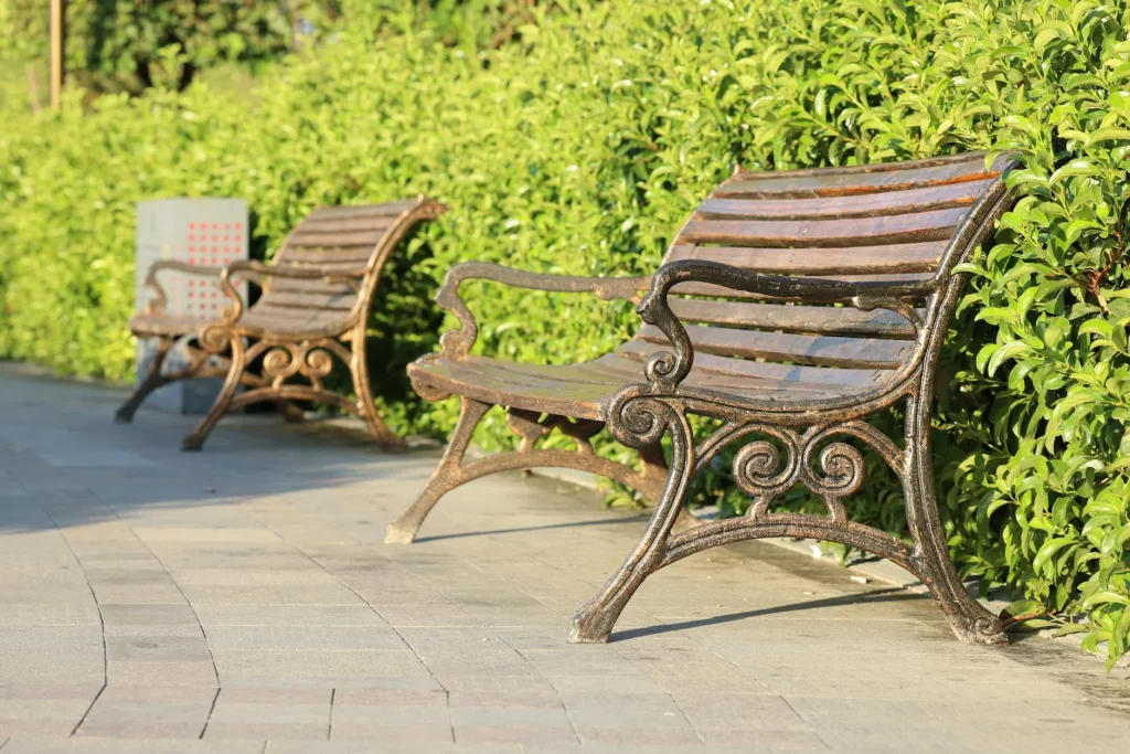 Wooden garden bench surrounded by greenery in a UK garden
