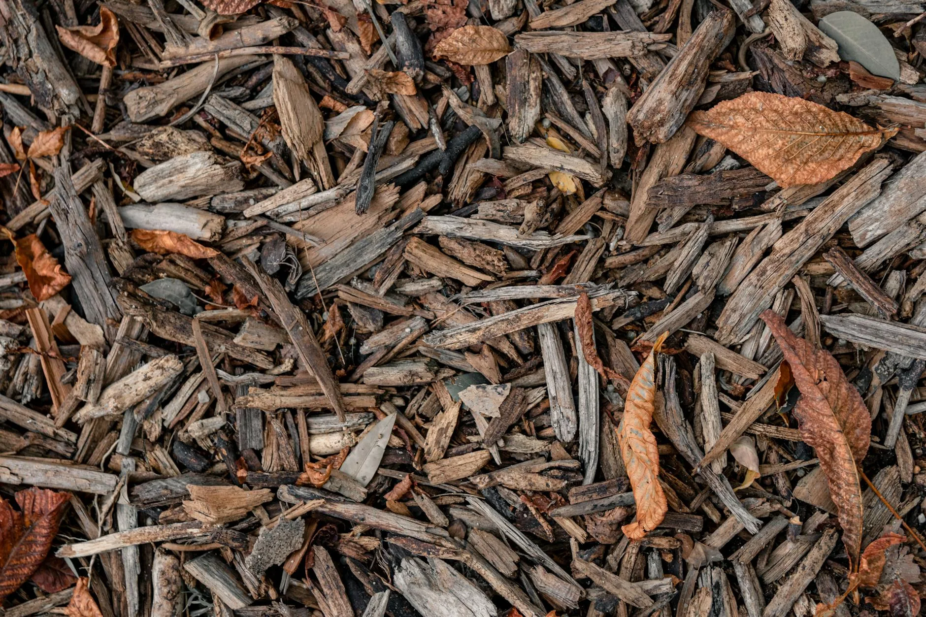 Bark mulch chips spread on a garden flower bed