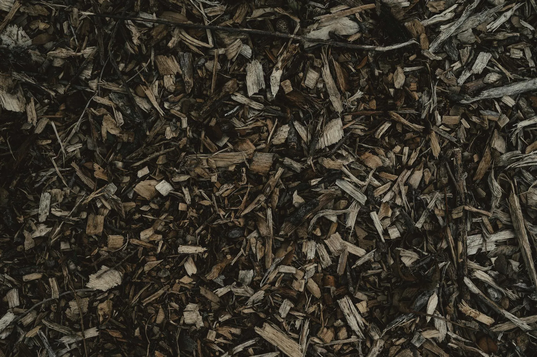 Bark chip mulch spread around plants in a tidy garden border