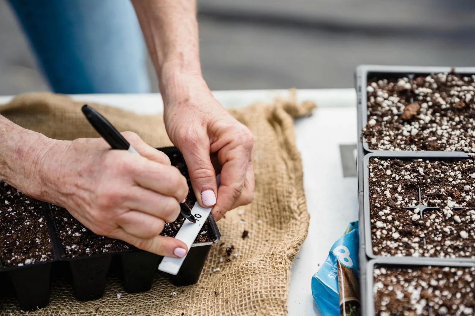 Gardener labelling a seedling tray with soil outdoors in spring