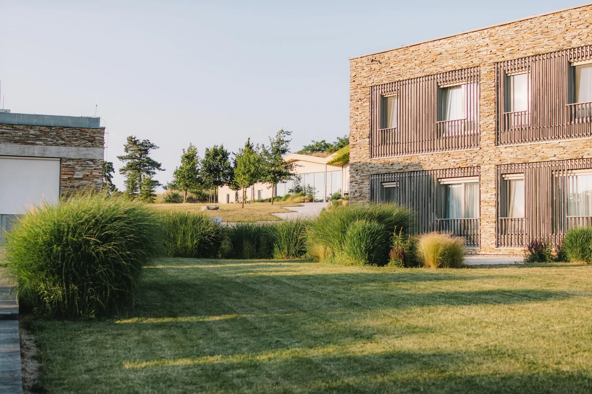 Neatly striped mowed lawn in a well-maintained garden