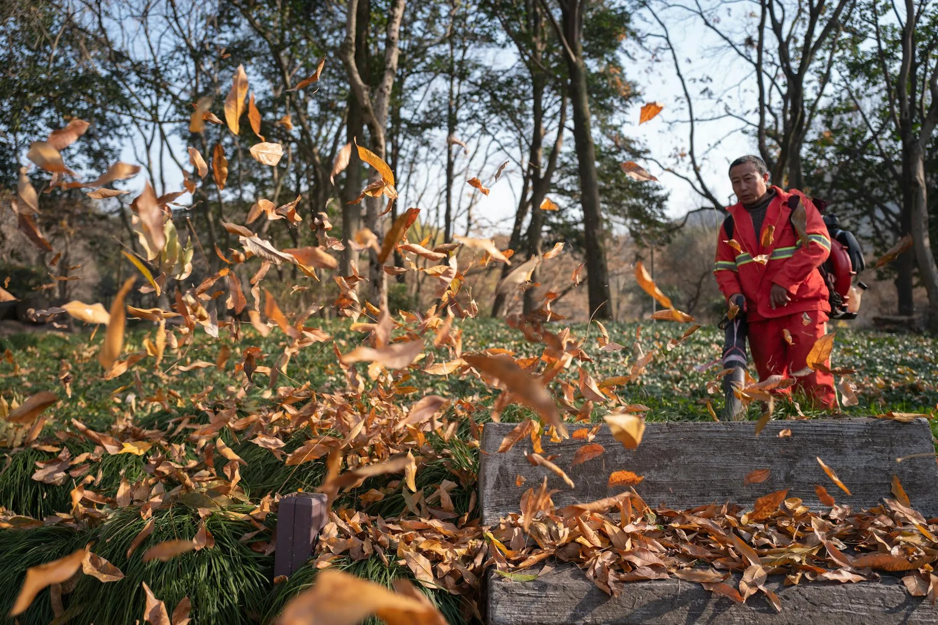Raking autumn leaves into a pile during garden cleanup