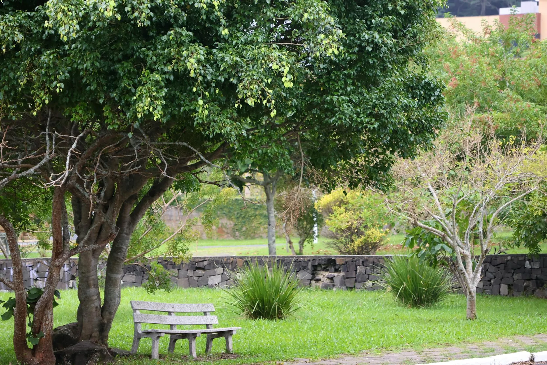 Stone garden bench in a natural garden setting under trees