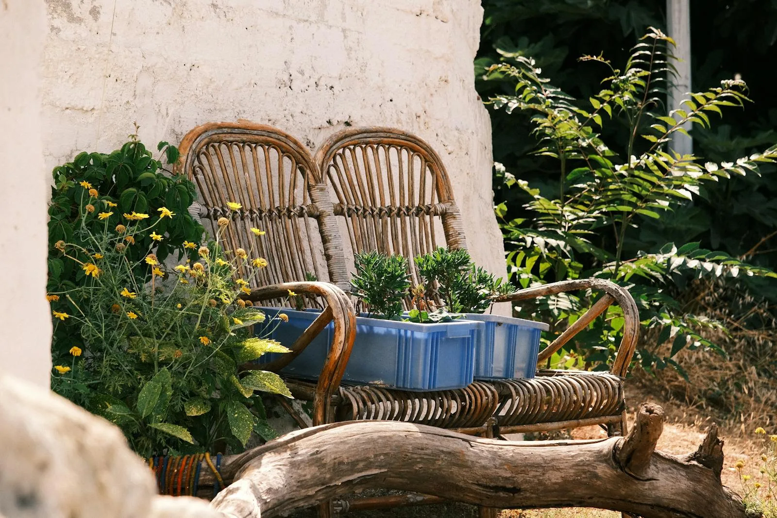 Natural rattan garden bench showing weathering patina in a cottage garden setting