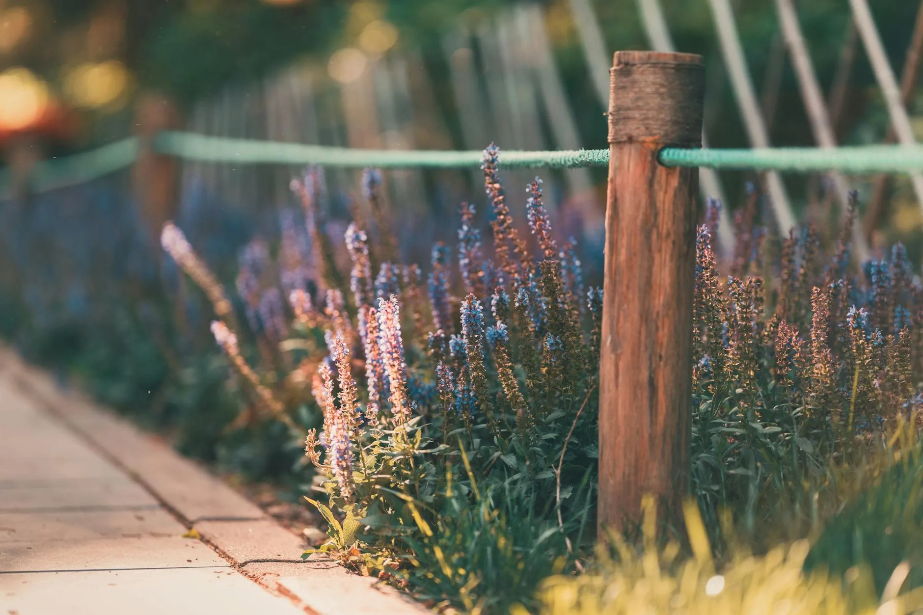 Garden fence with colourful flower border along the base