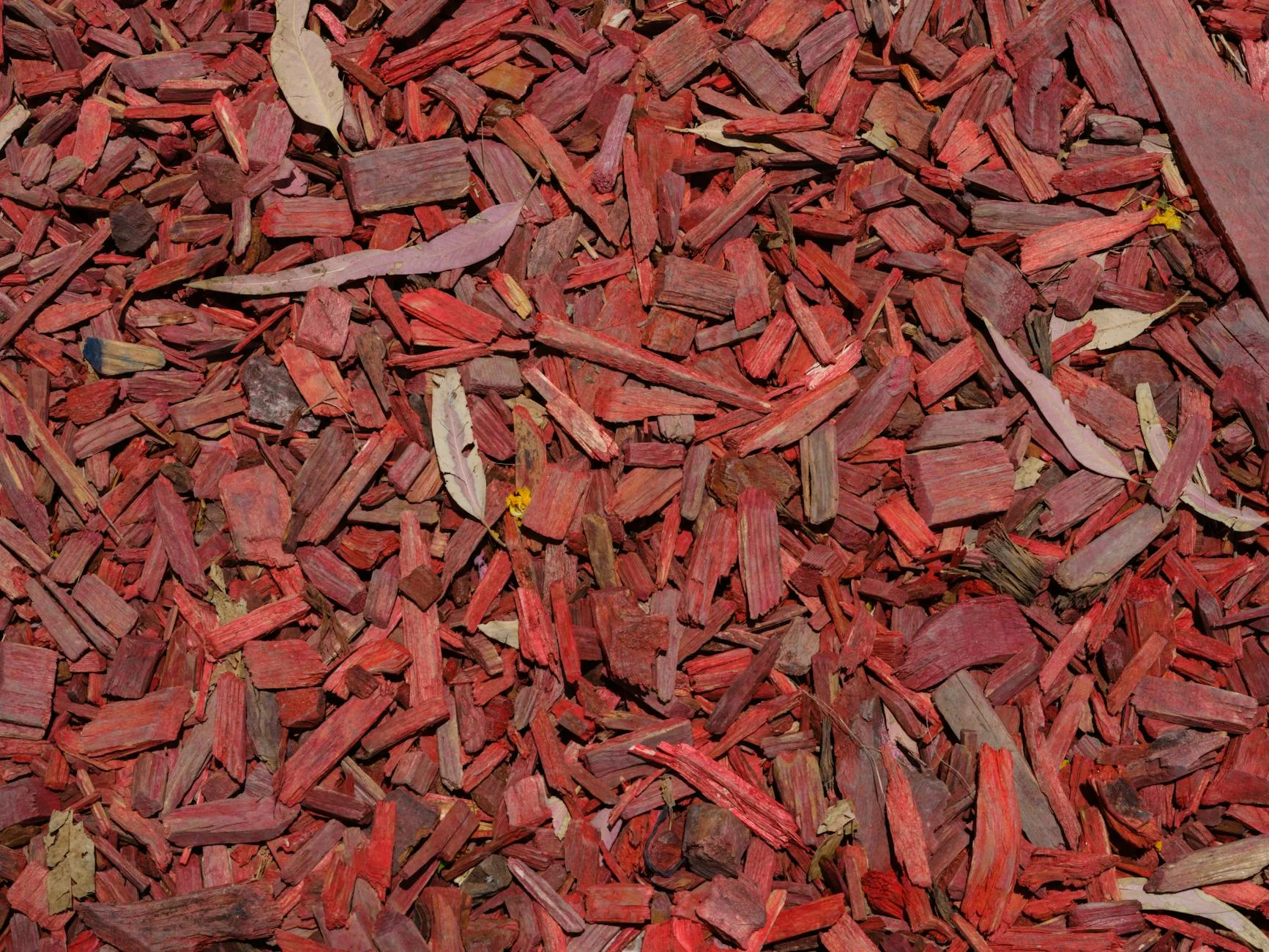 Bark mulch around plants in a garden flower bed