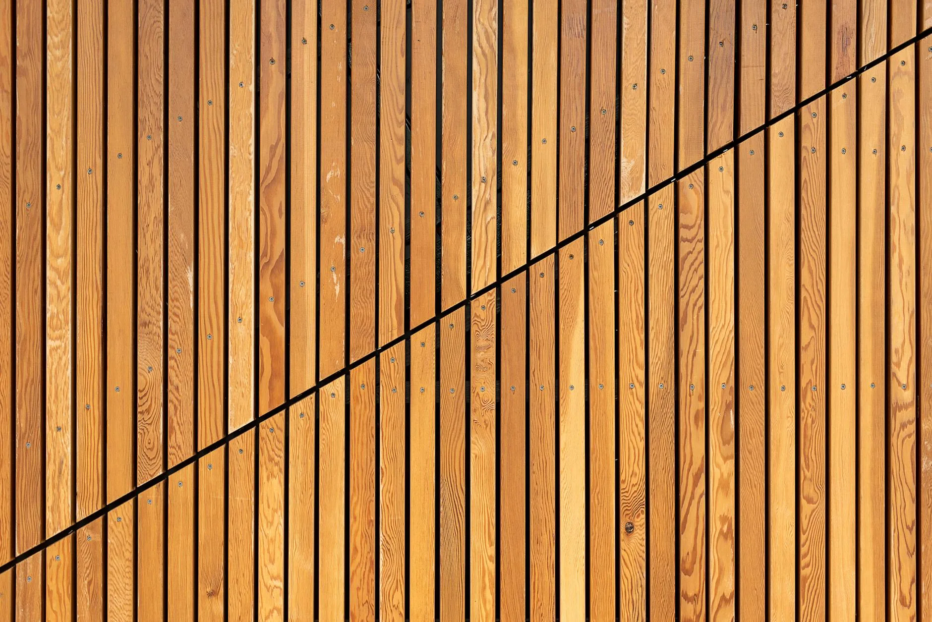 Modern slatted fence in a contemporary garden