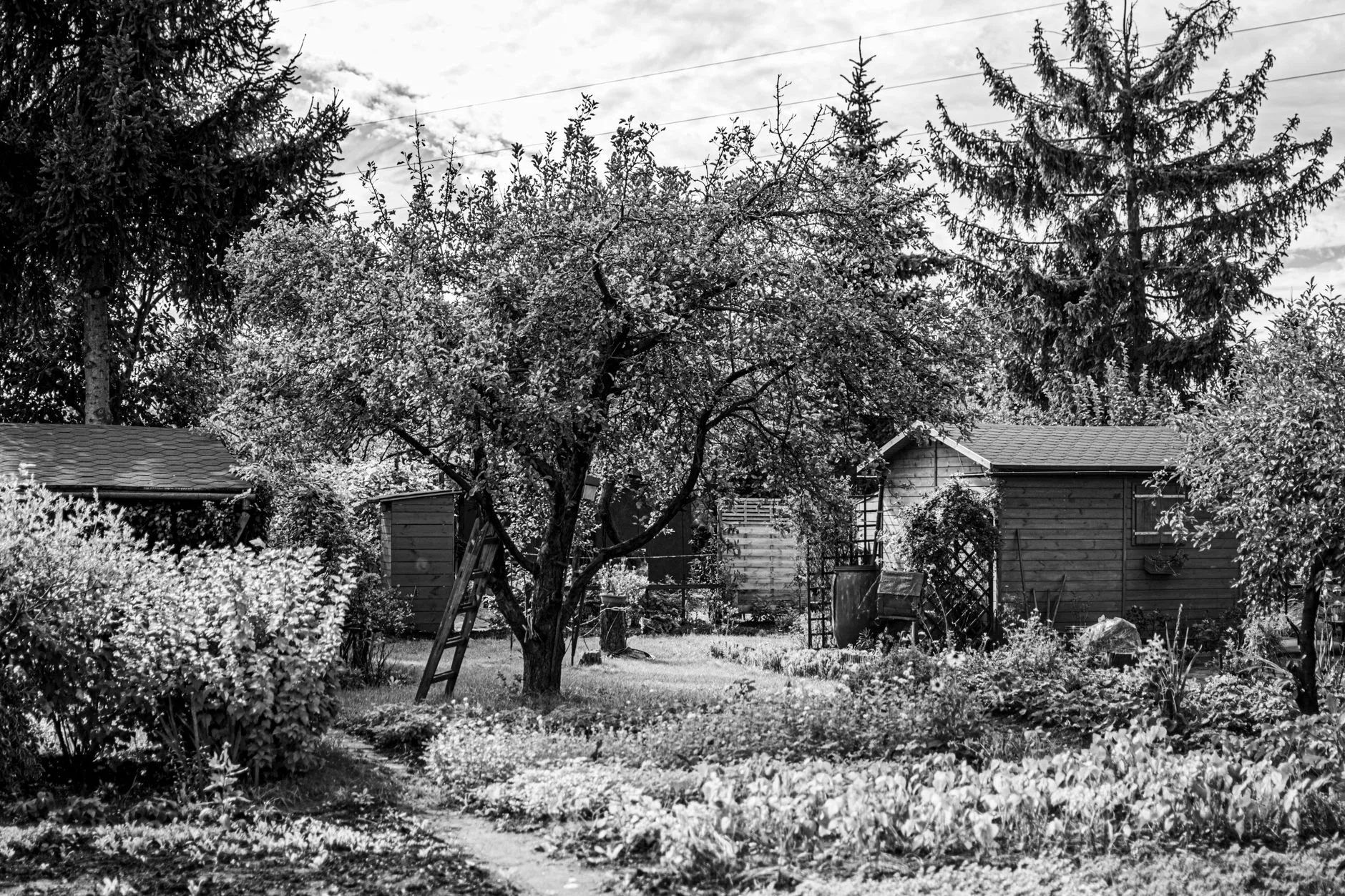 Safe garden surfaces with rubber play matting and secure shed in a UK family garden