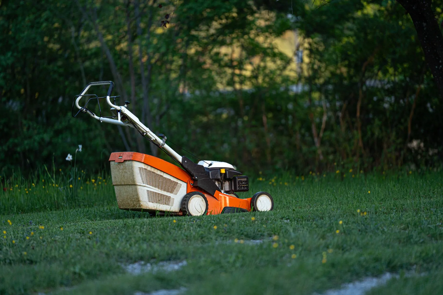 Petrol lawnmower on grass before garden power tool safety checks