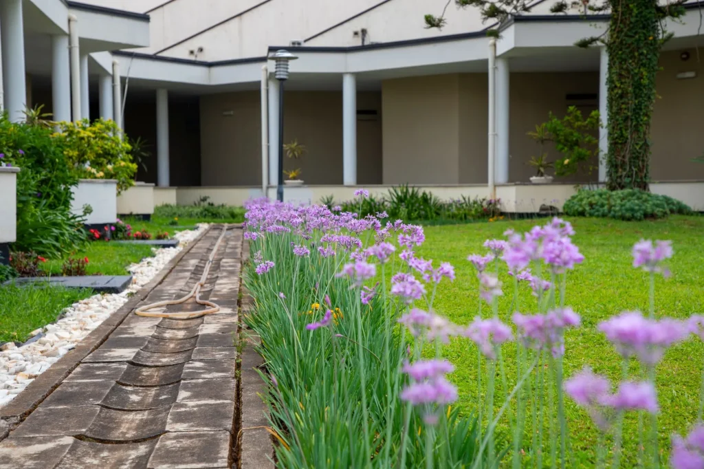 Garden hose running through a flower bed beside a patio
