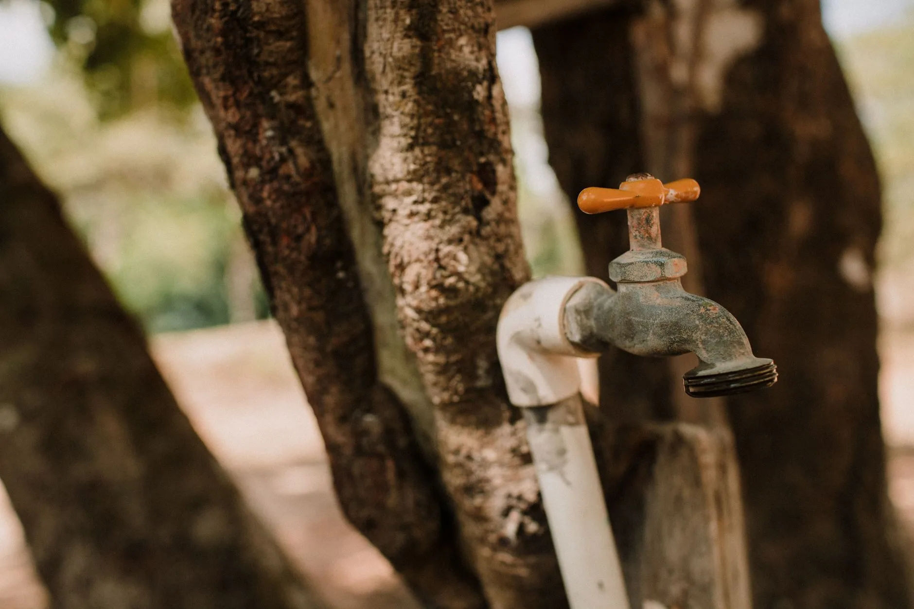 Outdoor tap with threaded hose fitting close up