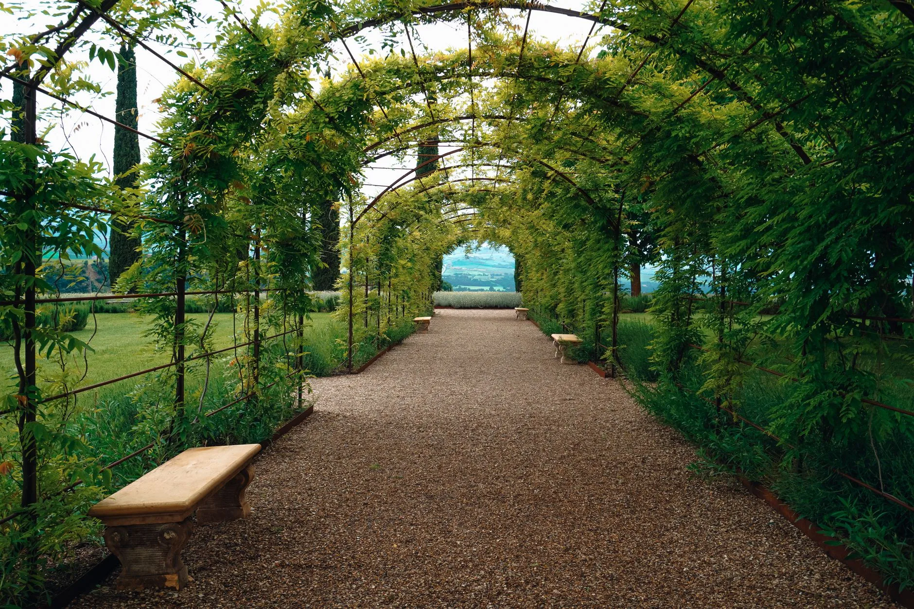 Gravel garden path with edging stones and planting