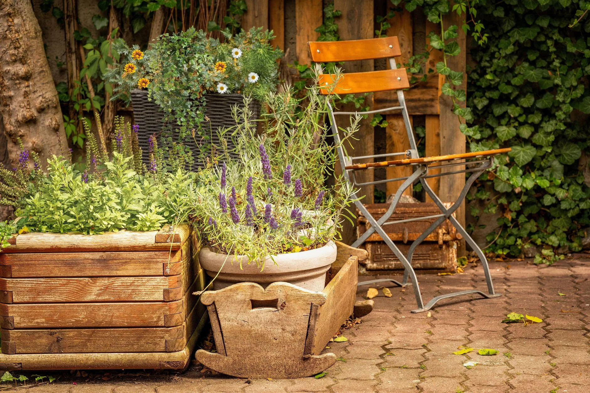 Tall grasses in patio planters for privacy