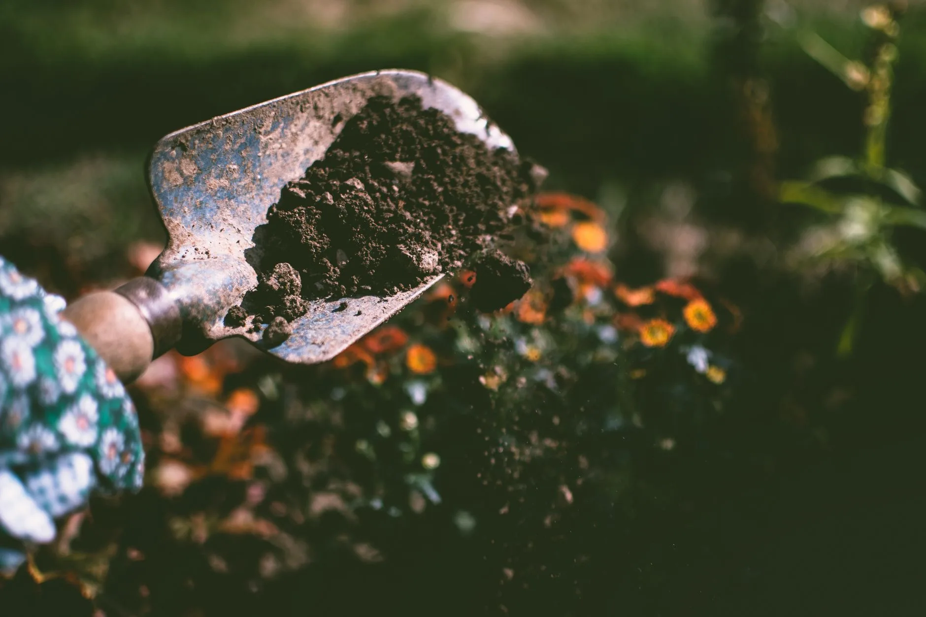 Beginner garden hand tools with trowel fork and gloves