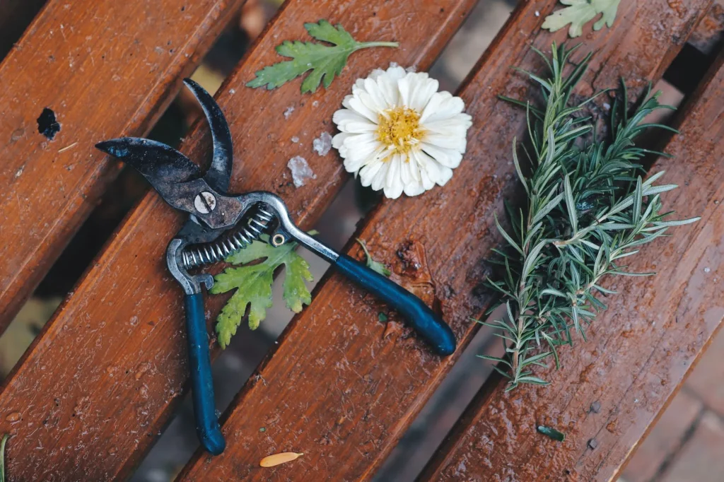 Clean garden tools laid out for winter maintenance on a bench