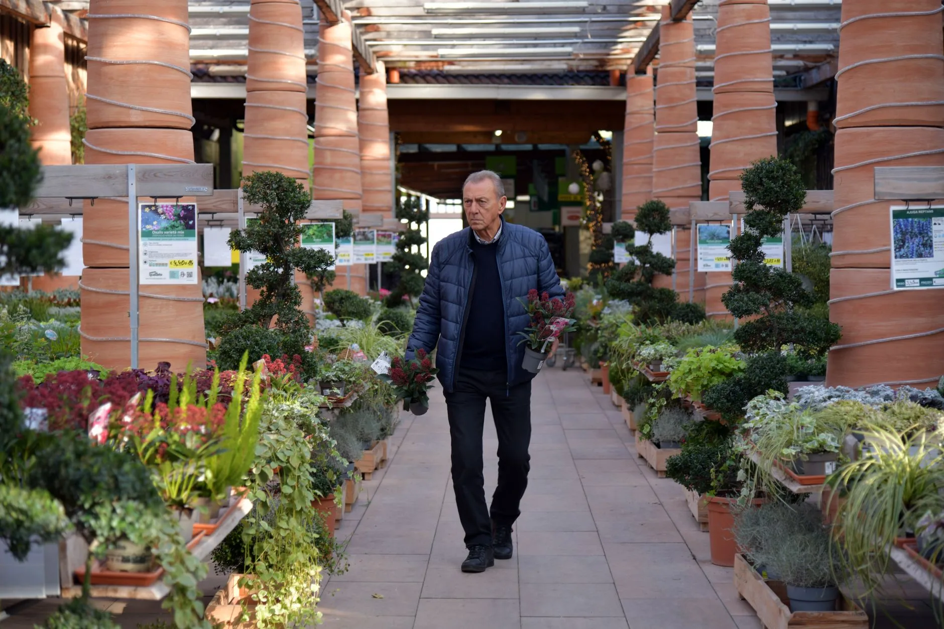 Potted shrubs and container plants ready for a UK garden