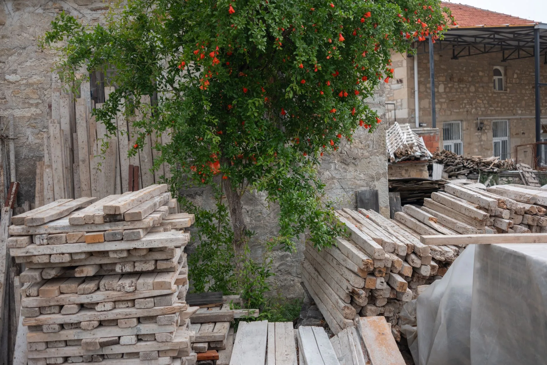 Timber boards prepared for a DIY garden bench