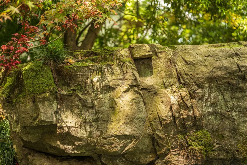 Japanese-inspired garden design UK with gravel, stones and acer planting