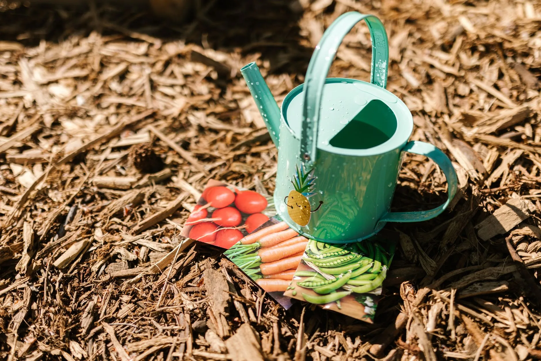 Seed packets and compost for spring planting in the UK